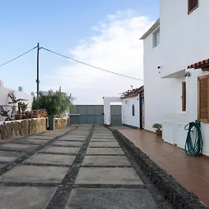 Palmeras Ingenio